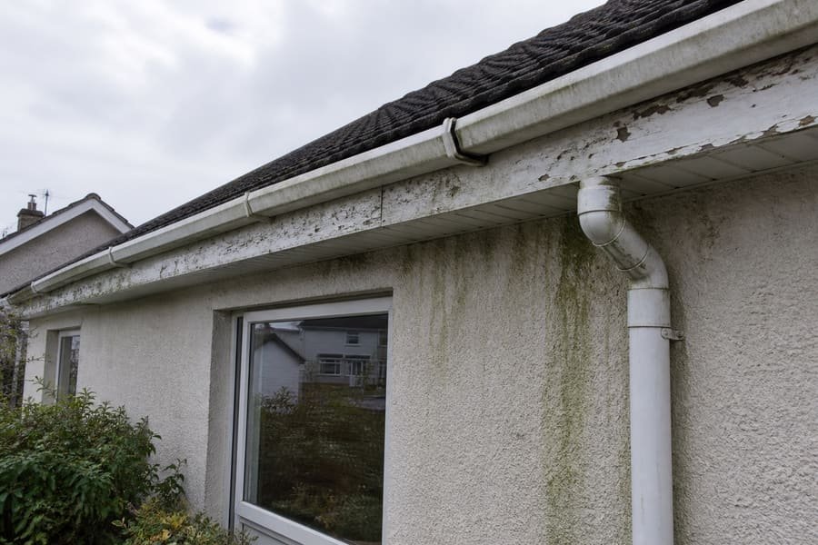 Deteriorated timber fascia with a sagging white gutter and downpipe, and staining on the wall below.